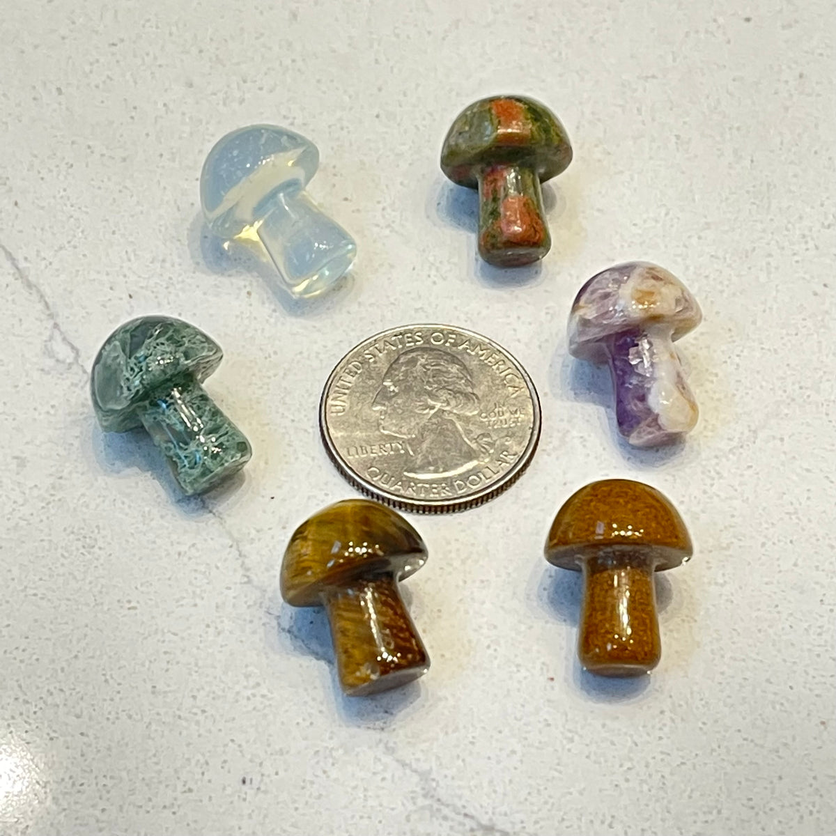 Mini Crystal Mushrooms - Gaia Luna