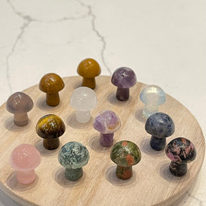 Mini Crystal Mushrooms