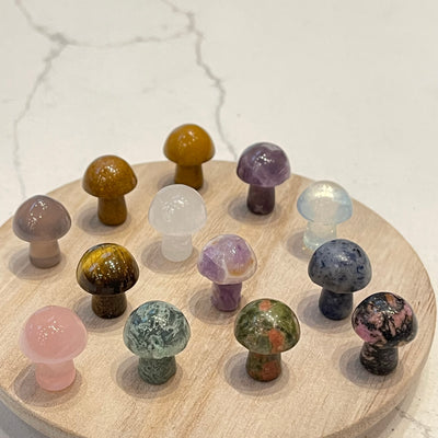 Mini Crystal Mushrooms