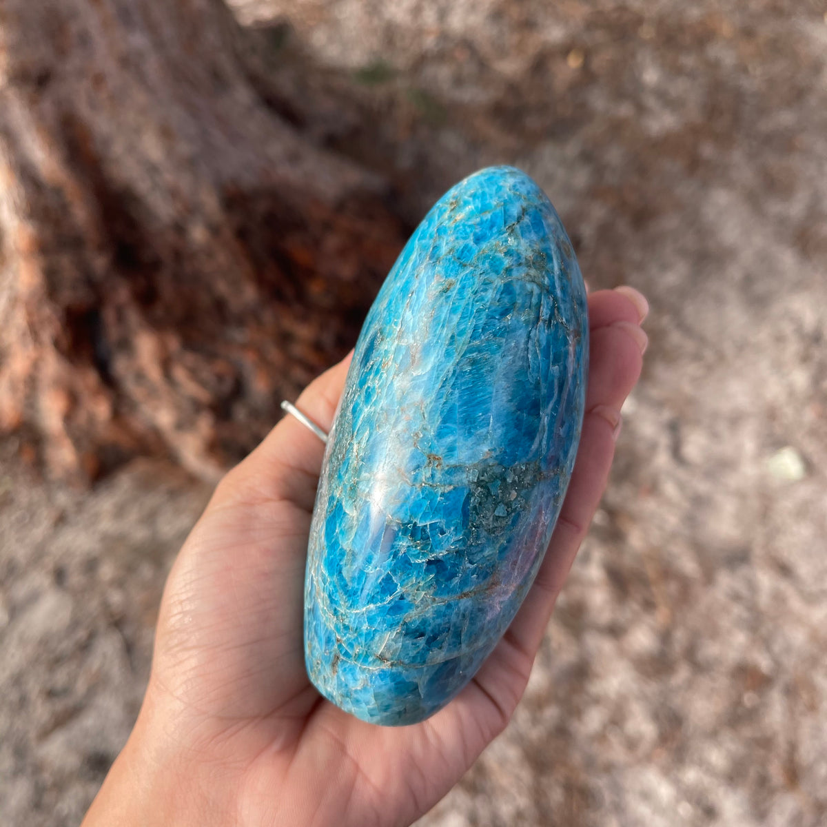 Blue Apatite - Gaia Luna