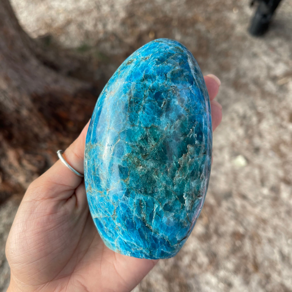 Blue Apatite - Gaia Luna