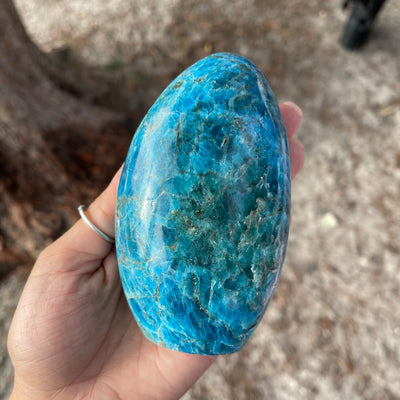 Blue Apatite Freeform