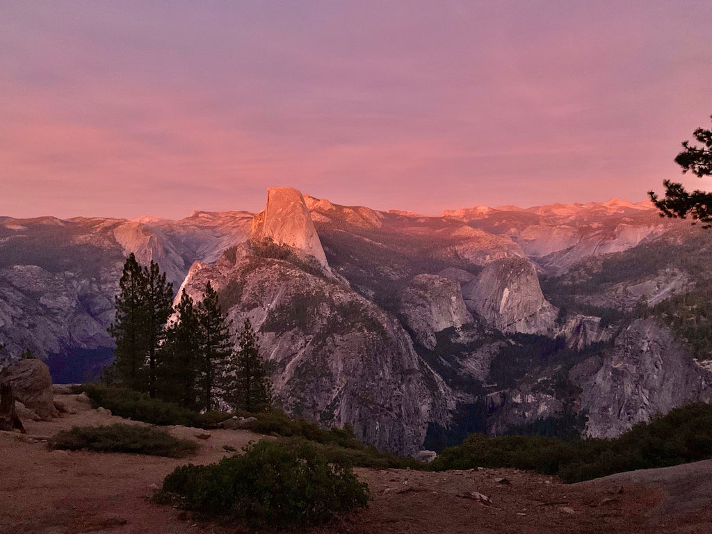 Let's help our planet.